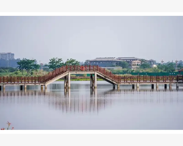 通过肩膀上拔罐拔出水泡是什么原因造成的